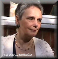 Sue Rose - Rosebudlia
